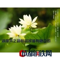 湖南天之翊貿(mào)易